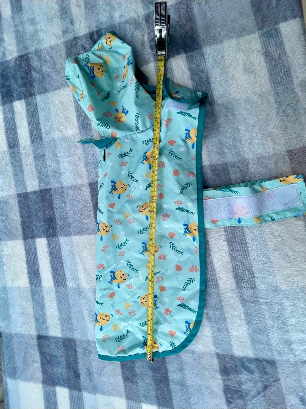 Set of dog clothes
